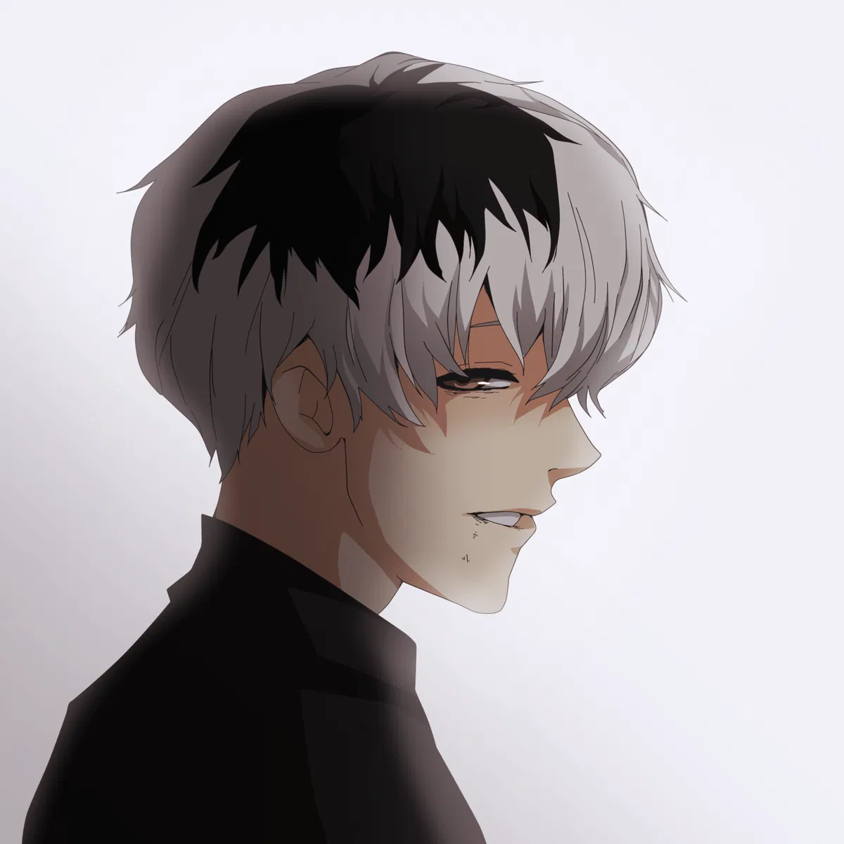 14 —— Haise Sasaki (Ken Kaneki)