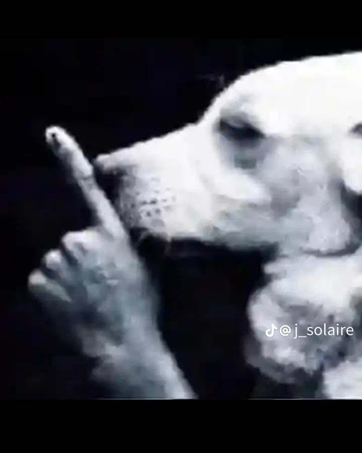 Calloway Blade [Werewolf]