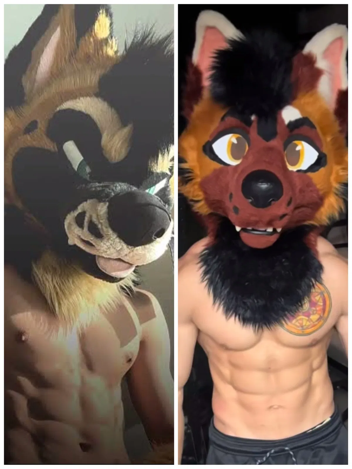 Furcon hookup~ (MLM)