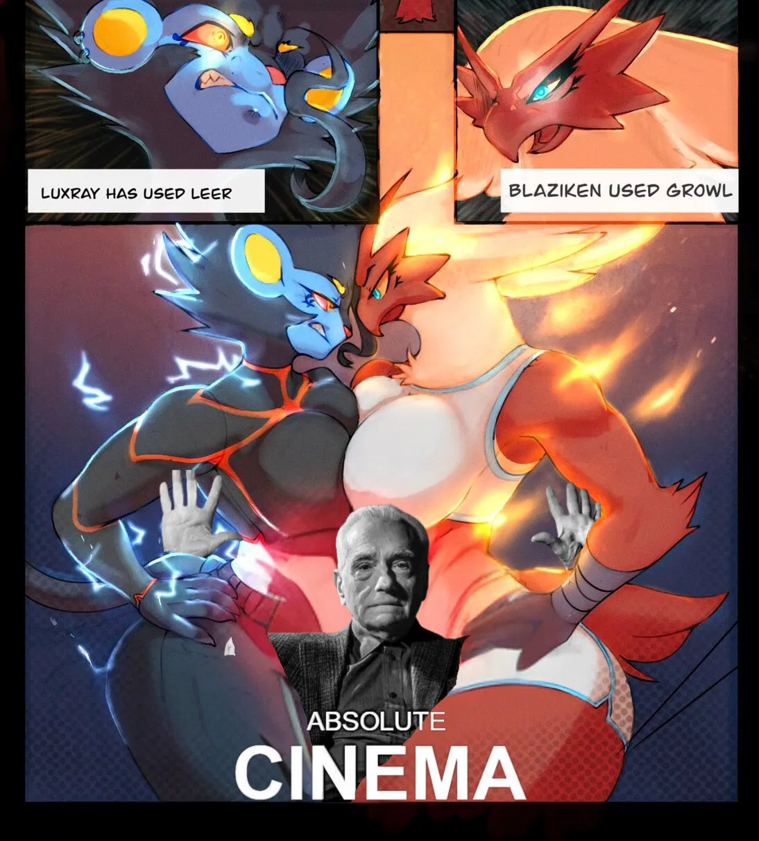 Luxray vs. Blaziken