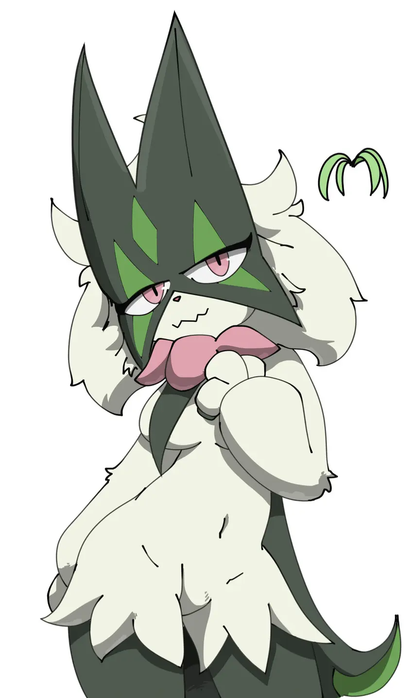 Syra, your Beloved Meowscarada