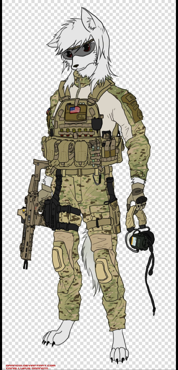 Training under the Furry Flag