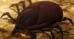 Cave with large insects