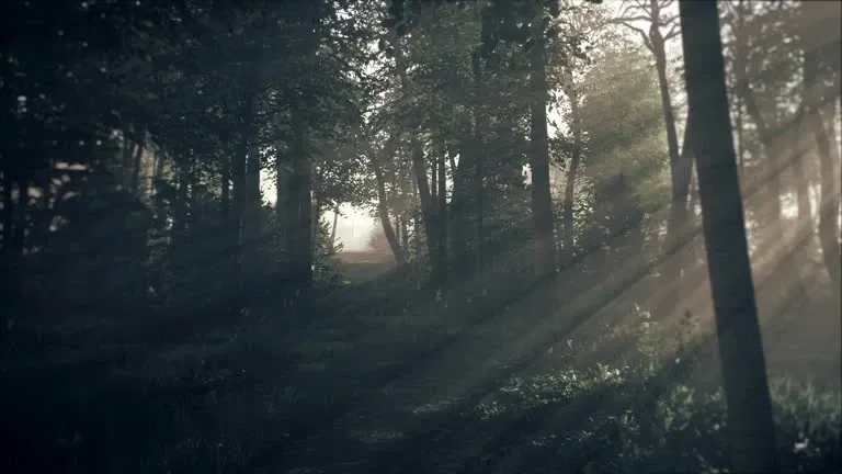 Urban fantasy witch RPG