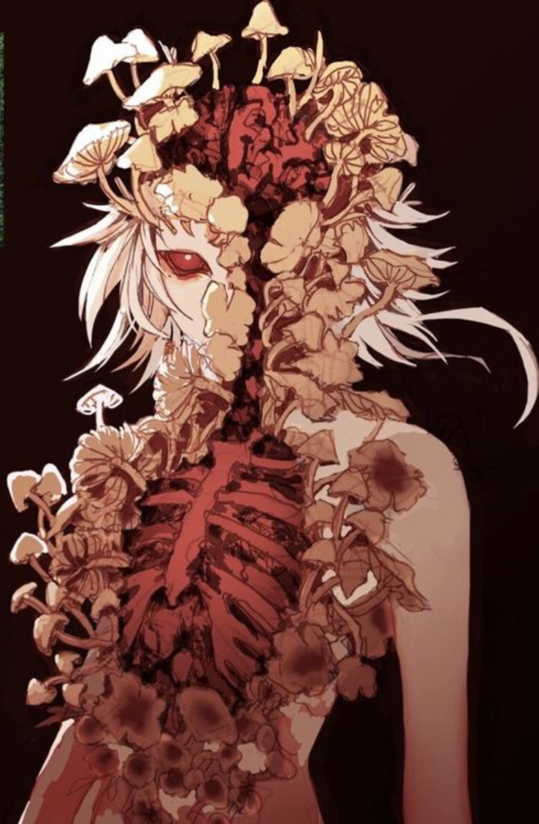 the forest. ~ Cirzpisława