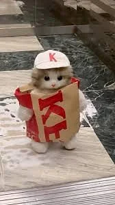 KFC CAT
