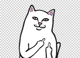 mundo postapocaliptico zombie